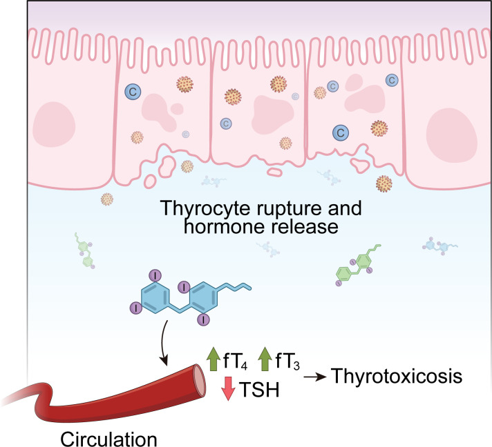 Figure 3