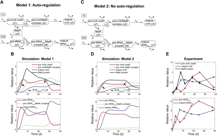 Figure 5.