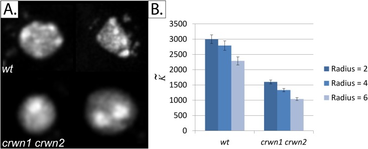 Fig 11