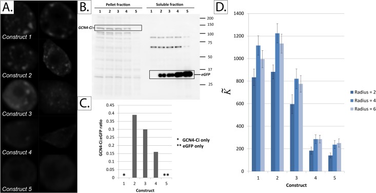 Fig 10