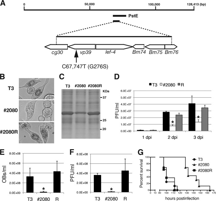 FIG 2