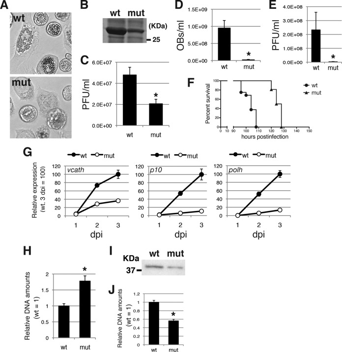 FIG 6