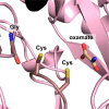Figure 19