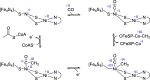 Scheme 25