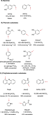 Scheme 20