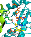 Figure 17