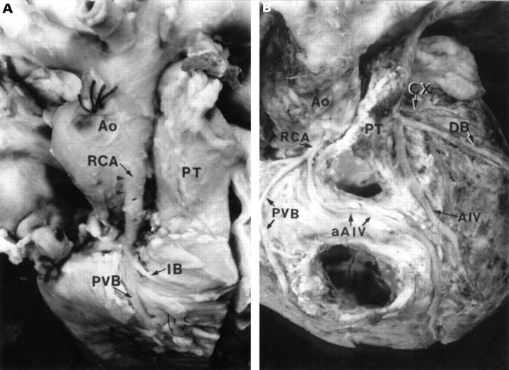 Figure 3  