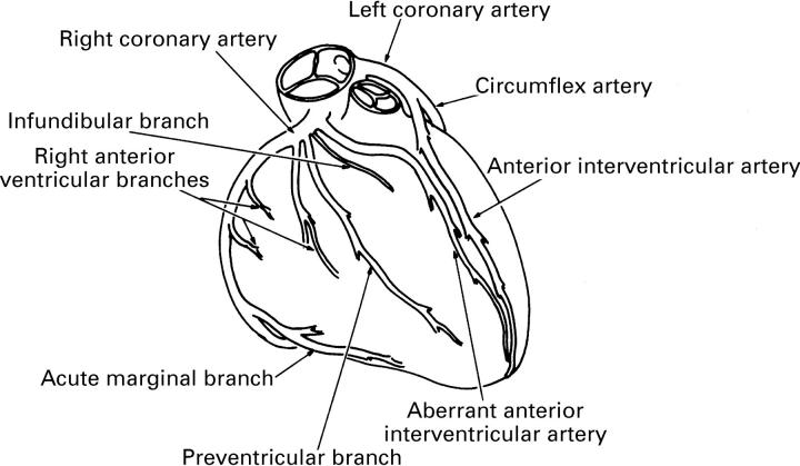 Figure 1  