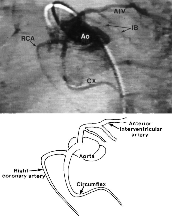 Figure 6  