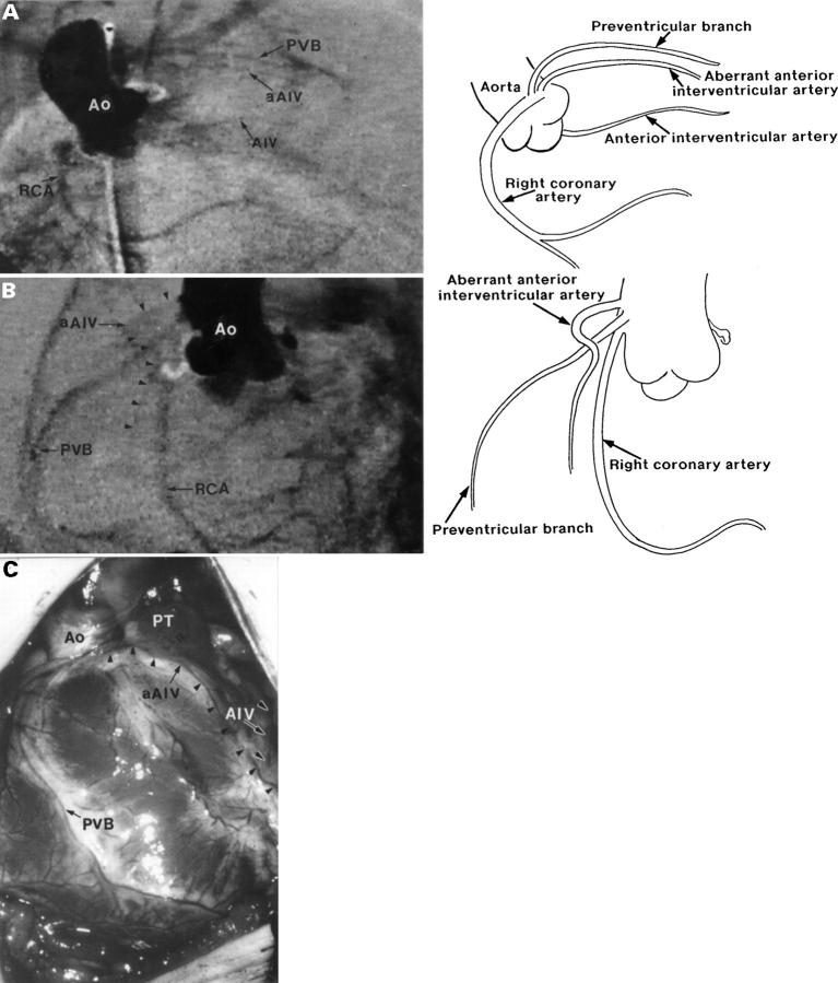 Figure 5  