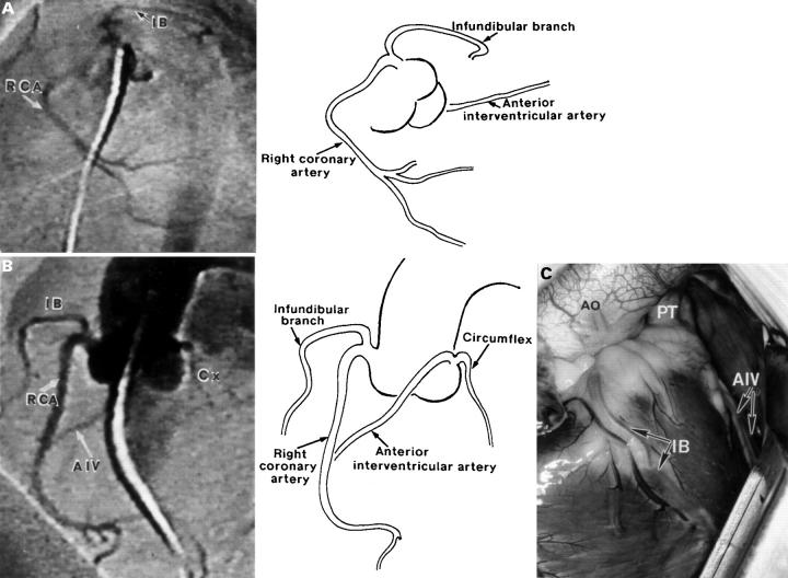 Figure 7  