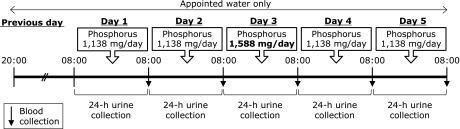 Fig. 1