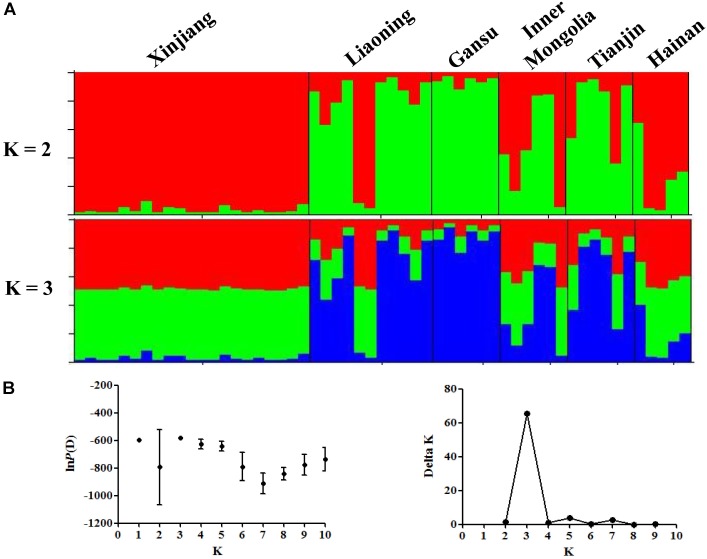 FIGURE 1