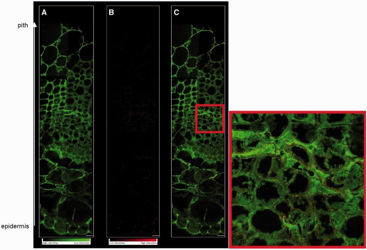 Fig. 9