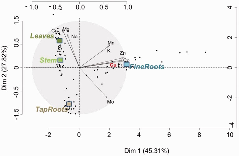 Fig. 2