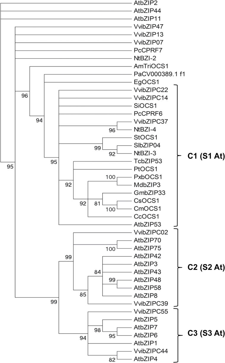 Fig. 1.