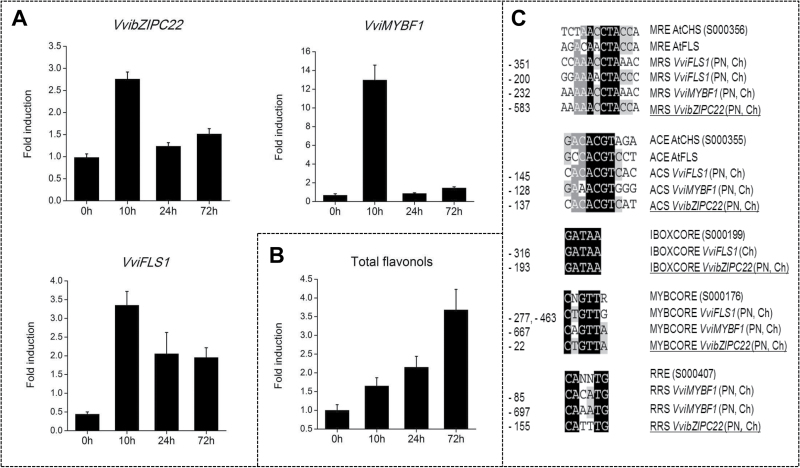 Fig. 3.