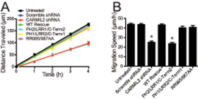 FIGURE 5: