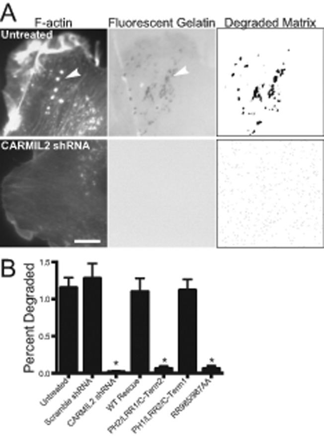 FIGURE 6: