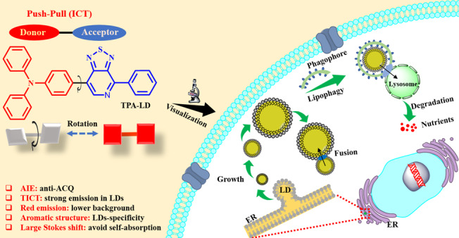 graphic file with name ac9b04410_0007.jpg