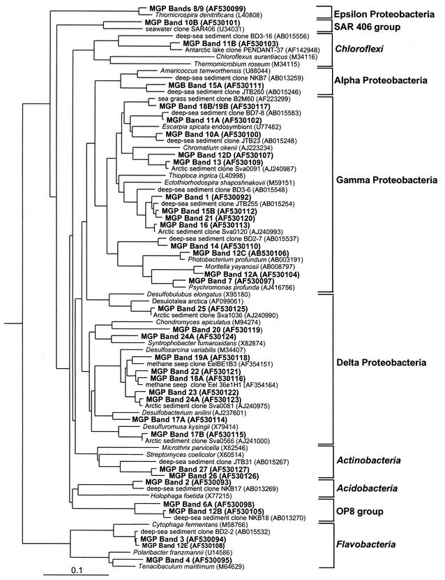 FIG. 7.