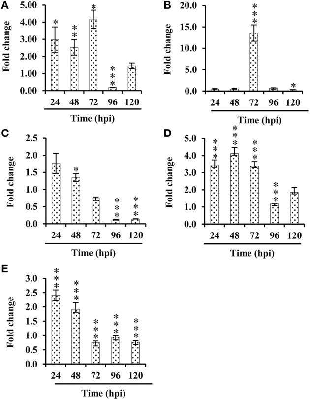 Figure 5