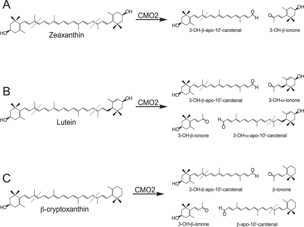 Fig 11