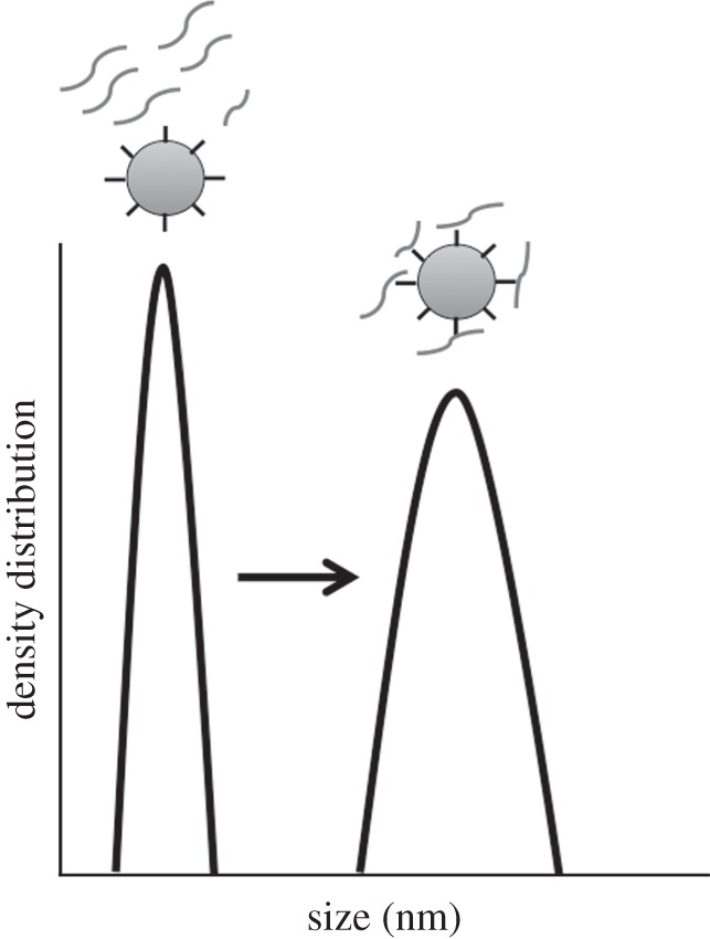 Figure 1.