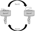 Fig. 6.