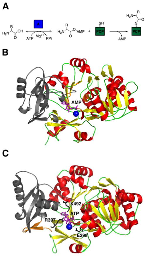 Fig. 5