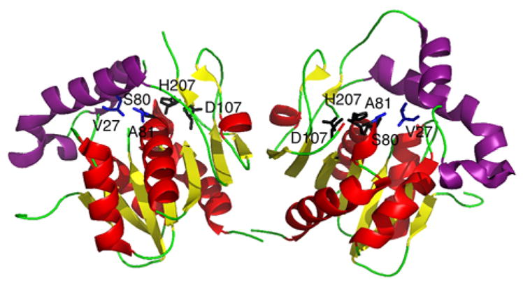 Fig. 19