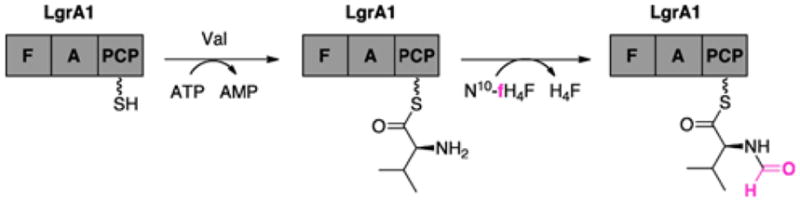 Fig. 15