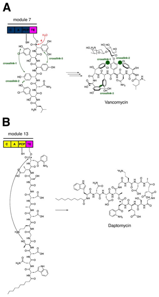 Fig. 18