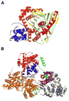 Fig. 9