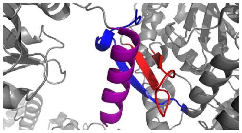 Fig. 23