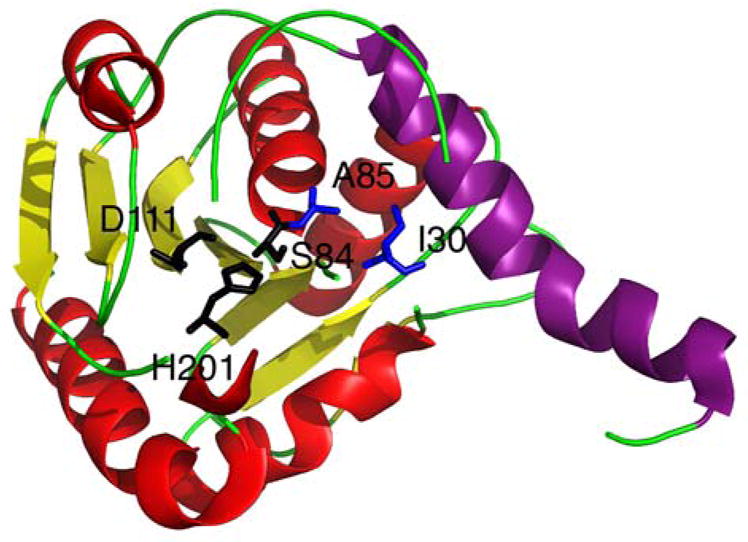 Fig. 20