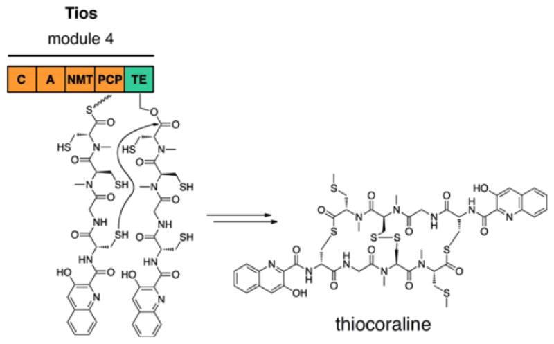 Fig. 21