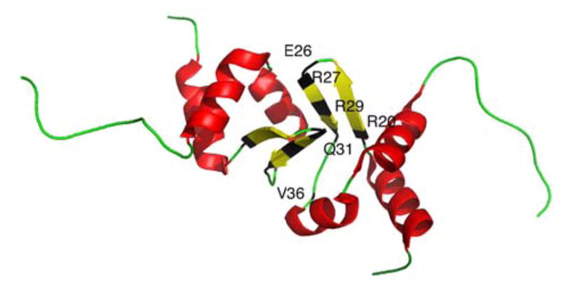 Fig. 24