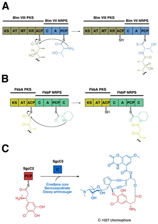 Fig. 11