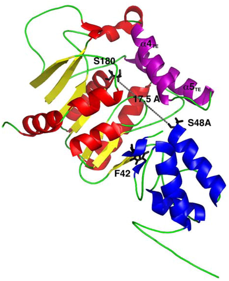 Fig. 8