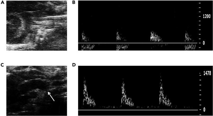 Figure 3