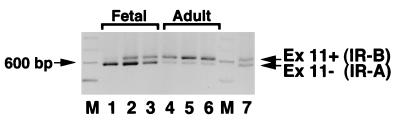 FIG. 5