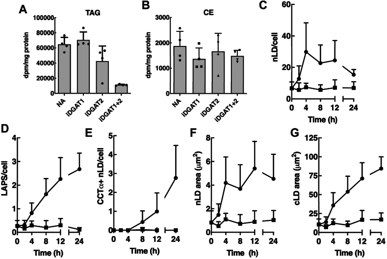 Fig. 7