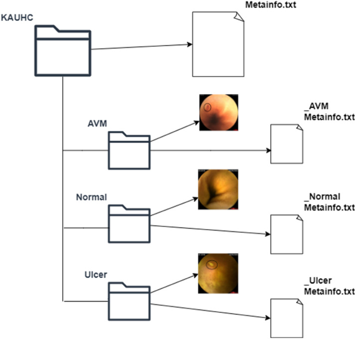 Fig. 1: