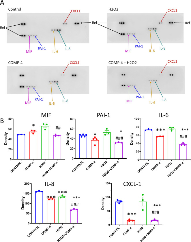 Fig 6