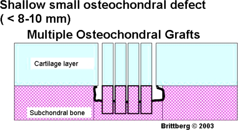 Fig. 10