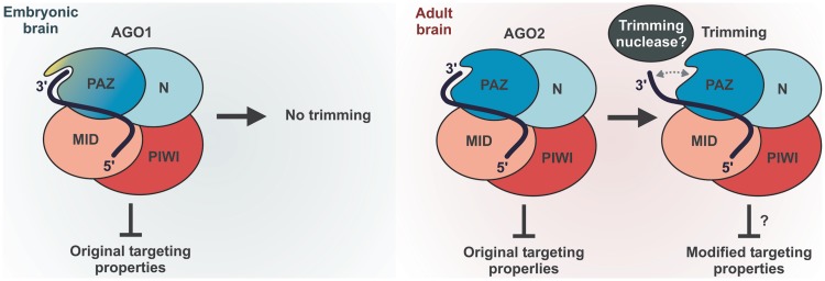 Figure 7.