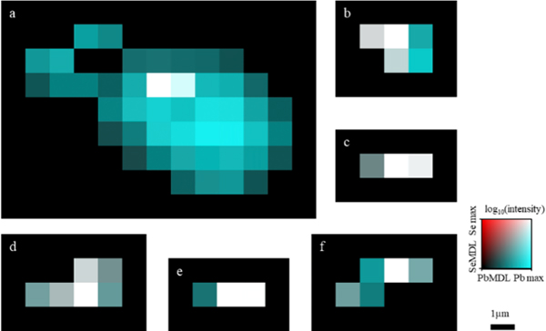 Figure 7.