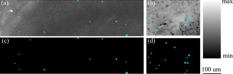 Figure 11.