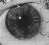 168